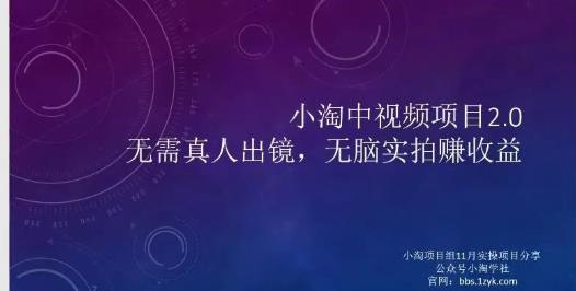 小淘项目组网赚永久会员，绝对是具有实操价值的，适合有项目做需要流程【持续更新】