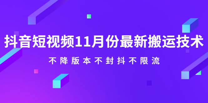 抖音短视频11月份最新搬运技术，不降版本不封抖不限流！【视频课程】