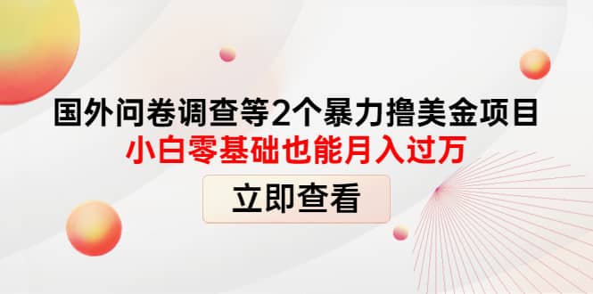 国外问卷调查等2个暴力撸美元项目，小白零基础也能月入过万