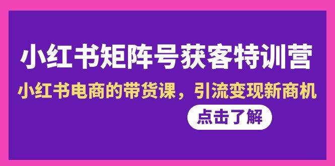 小红书-矩阵号获客特训营-第10期，小红书电商的带货课，引流变现新商机