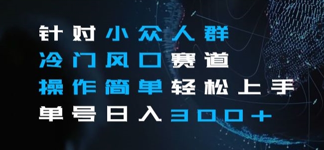 针对小众人群冷门风口赛道，操作简单轻松上手单号日入300+