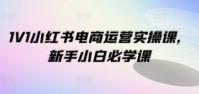 1V1小红书的电商运营实操课，新手入门必会课