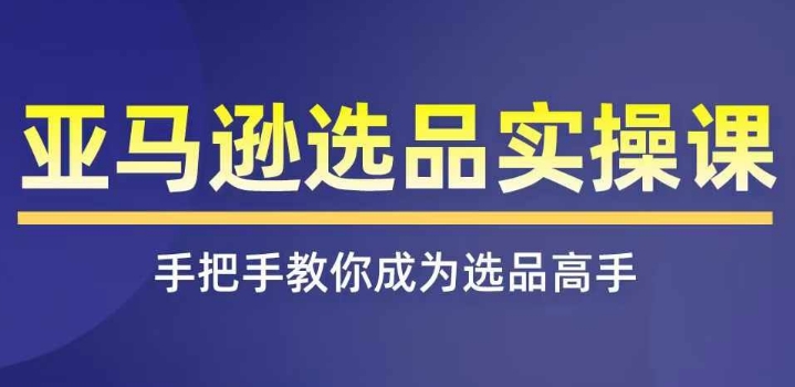 亚马逊选品实操课程，快速上手亚马逊选品技巧，遮盖亚马逊选品全部方式