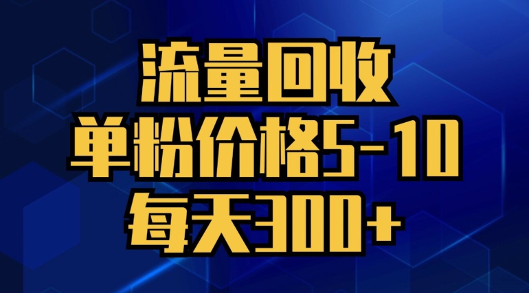 总流量回收利用，单粉价钱5-10，每日300 ，轻轻松松月入五位数