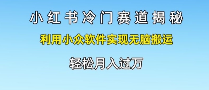 小红书的小众跑道揭密，运用小众软件完成没脑子运送，轻轻松松月入了万