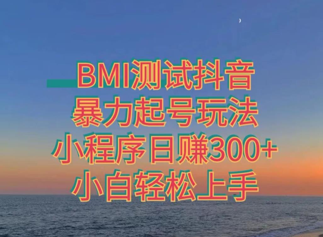 神图抖音小程序项目4.0版引流，日入300+暴力玩法小白轻松上手