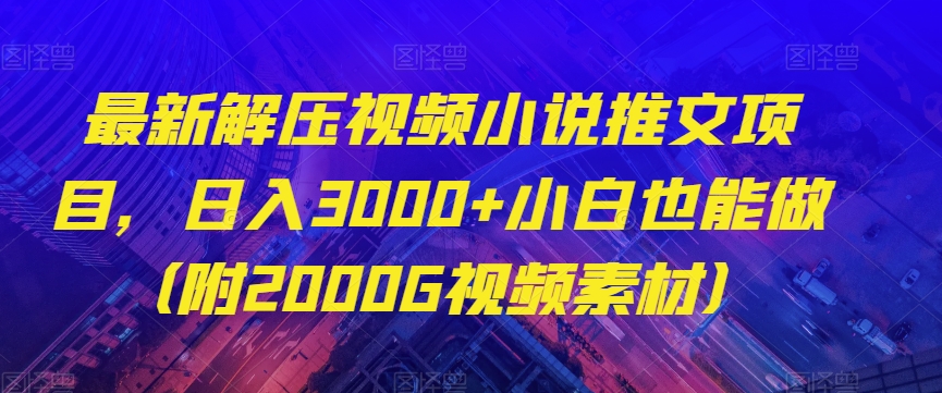 全新解压视频小说推文新项目，日入3000 新手也可以做（附2000G视频模板）【揭密】-暖阳网-优质付费教程和创业项目大全