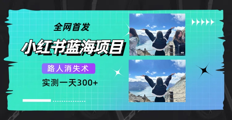 （7537期）独家首发，小红书的蓝海项目，过路人消失术，评测一天300 （实例教程 专用工具）