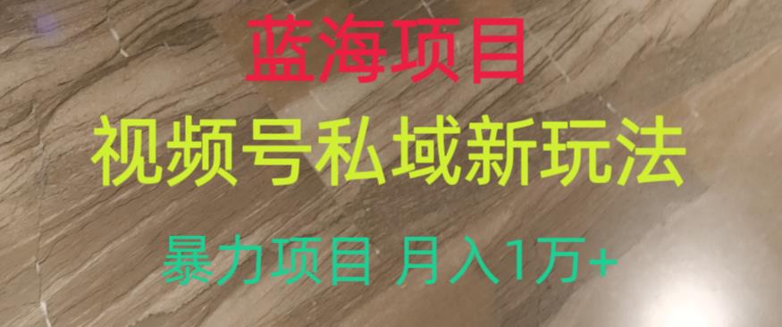 蓝海项目，视频号私域新玩法，暴力项目月入1万+【揭秘】