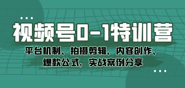 视频号0-1特训营：平台机制、拍摄剪辑、内容创作、爆款公式，实战案例分享