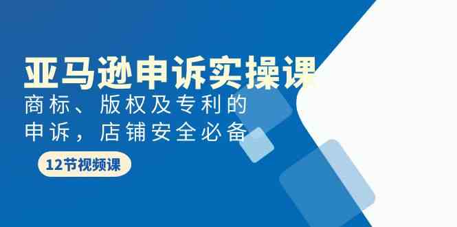 亚马逊申诉实战课，商标、版权及专利的申诉，店铺安全必备