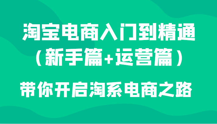 淘宝电商入门到精通（初学者篇 经营篇）陪你打开淘宝电子商务之途