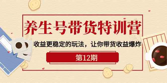 健康养生号卖货夏令营【12期】盈利更稳定的游戏玩法，使你卖货盈利发生爆炸（9节视频课堂）