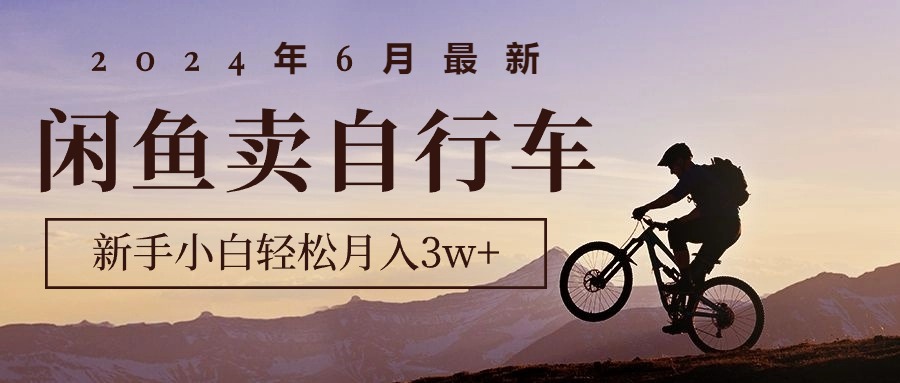 （10915期）2024年6月全新淘宝闲鱼单车，新手入门轻轻松松月收入3w 新项目