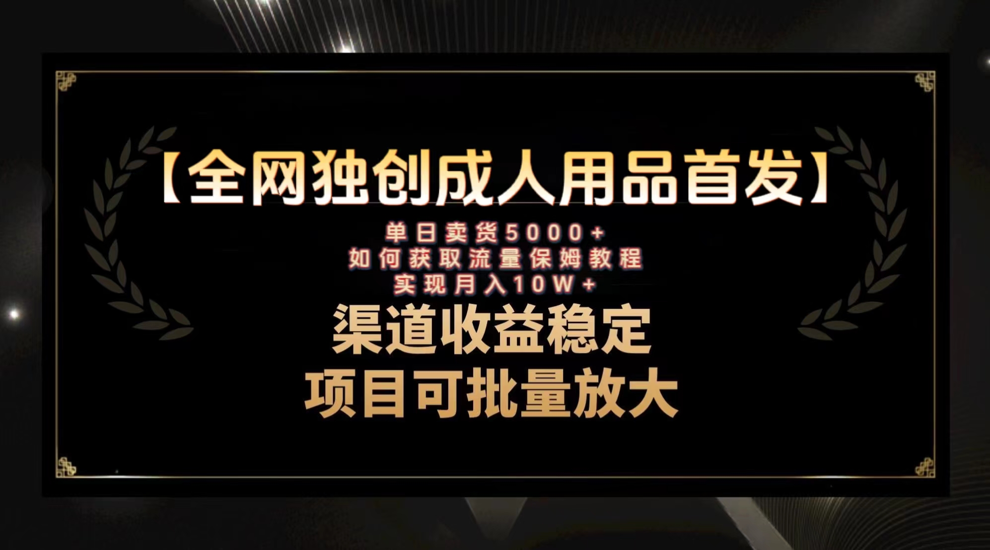 （8128期）全新各大网站独创性先发，两性用品跑道引流方法拓客，月入10w家庭保姆级实例教程-暖阳网-优质付费教程和创业项目大全