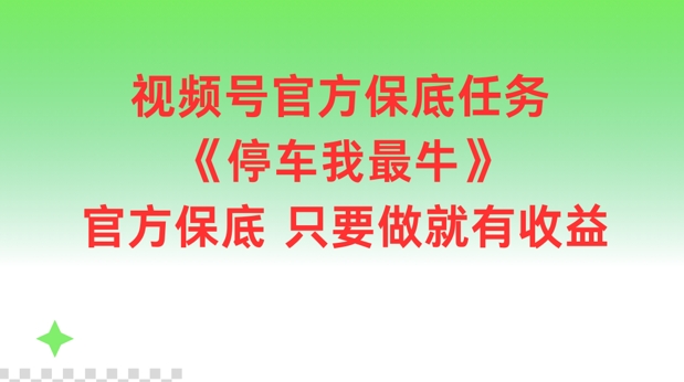 微信视频号官方网最低每日任务，泊车我最牛，官方网最低只要做就会有盈利【揭密】