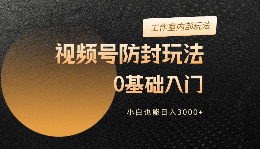 （10107期）2024微信视频号更新封号游戏玩法，零基础入门，新手也可以日入3000-暖阳网-中创网,福缘网,冒泡网资源整合