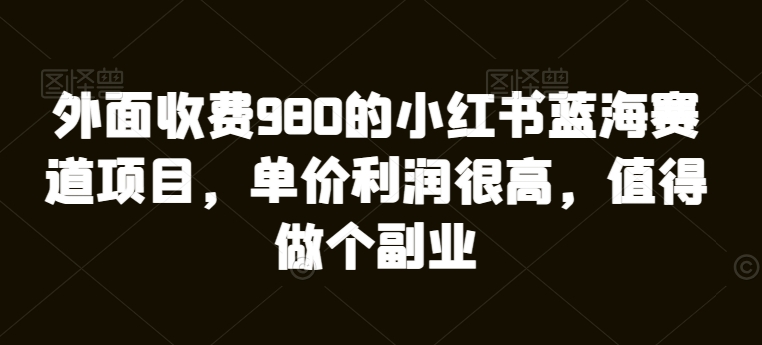 外边收费标准980的小红书瀚海跑道新项目，价格盈利非常高，值得坚持个第二职业