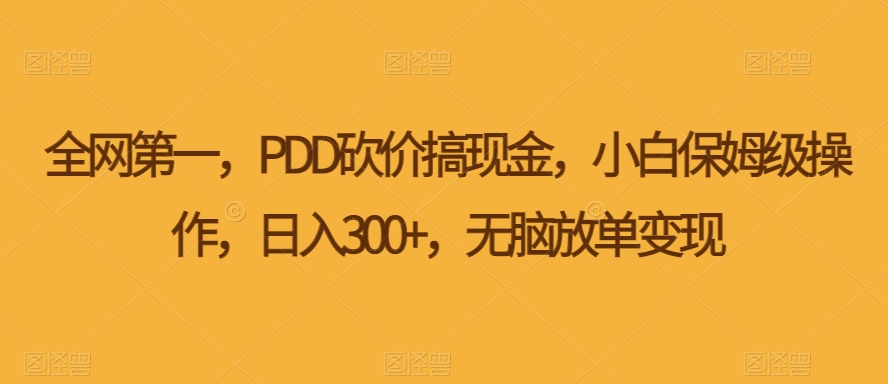 PDD压价搞现钱，新手家庭保姆级实际操作，日入300 ，没脑子刷单转现