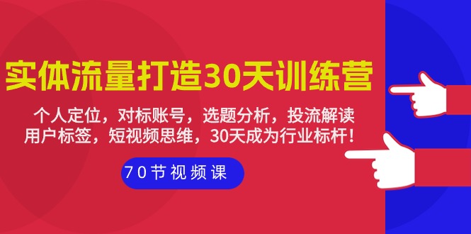 （9782期）实体线-总流量打造出-30天夏令营：个人定位，对比账户，论文选题剖析，投流讲解-70节