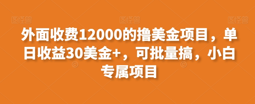 外面收费12000的撸美金项目，单日收益30美金+，可批量搞，小白专属项目