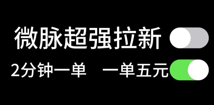 微脉没脑子引流，每一单5元钱，轻轻松松日入三位数