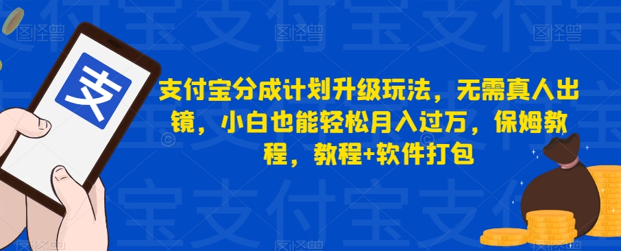 支付宝钱包分为方案升级玩法，不用真人出镜，新手都可以轻松月入破万，家庭保姆实例教程，实例教程 软件打包