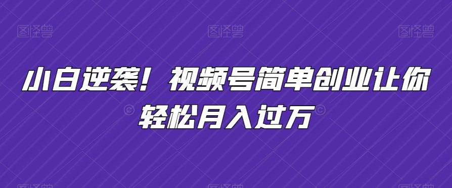 小白逆袭！视频号简单创业让你轻松月入过万