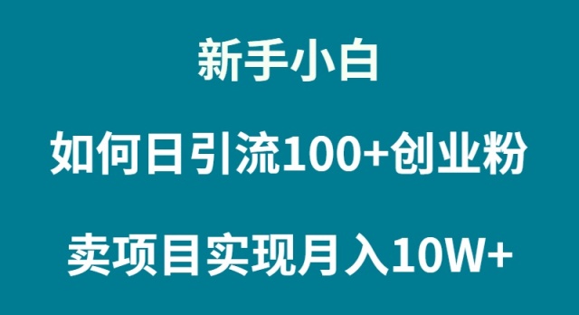 （9556期）新手入门怎样通过卖项目完成月入10W