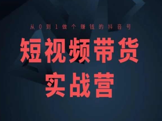 短视频卖货实战营(高级课)，从0到1做一个挣钱的抖音帐号