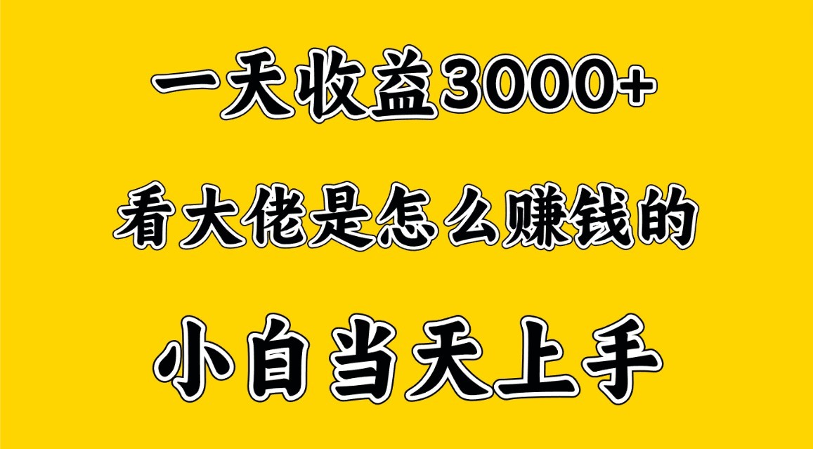 一天赚3000多，大佬是那样赚大钱的，新手当日入门，穷人翻身新项目