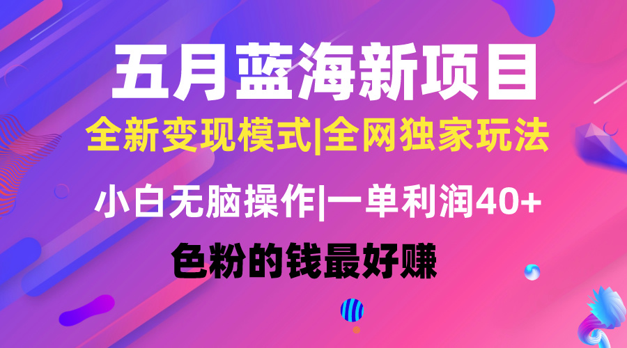 （10477期）五月蓝海项目全新玩法，新手没脑子实际操作，一天数分钟，引流矩阵实际操作，月入4万