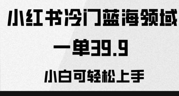 小红书的小众蓝海领域，一单39.9，小白可快速上手-暖阳网-优质付费教程和创业项目大全