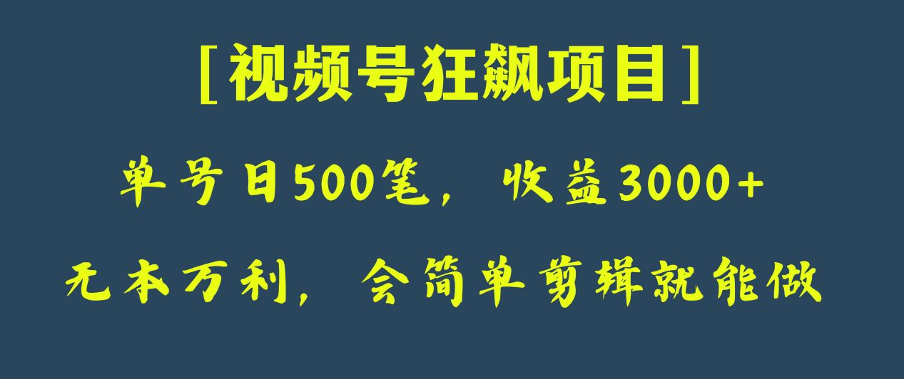 日收付款500笔，净利润3000 ，微信视频号狂飚新项目！-暖阳网-优质付费教程和创业项目大全