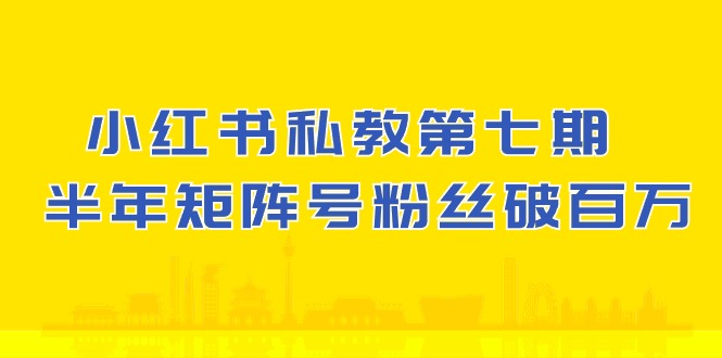 (10650期）小红书的-私人教练第七期，小红书的90天增粉18w，1周增粉过万 大半年矩阵账号粉丝们破百万