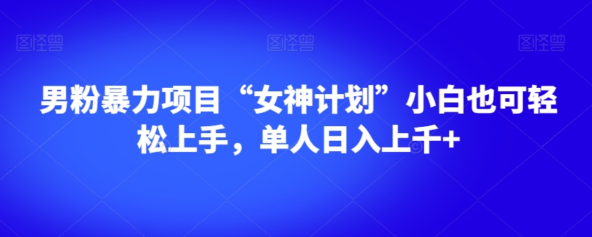 粉丝暴力行为新项目“极品女神方案”新手也可以快速上手，1人日入过千 【揭密】-暖阳网-优质付费教程和创业项目大全