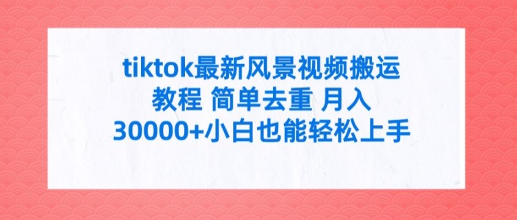 tiktok全新景色视频搬运实例教程 简易去重复 月入3W 新手也可以快速上手【揭密】