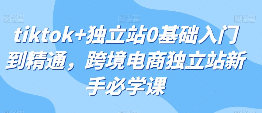 tiktok+独立站0基础入门到精通，跨境电商独立站新手必学课-暖阳网-优质付费教程和创业项目大全