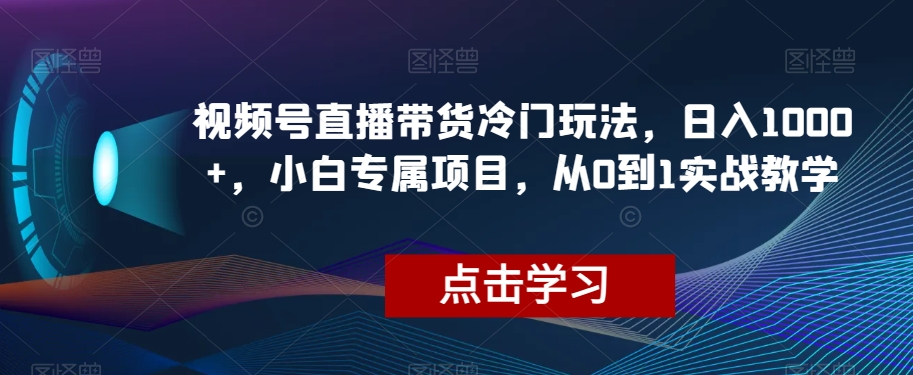 微信视频号直播卖货小众游戏玩法，日入1000 ，新手专享新项目，从0到1实战教学【揭密】-暖阳网-优质付费教程和创业项目大全