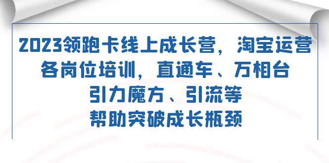 2023领先·卡 网上成长营 淘宝店铺运营各专业技能培训 淘宝直通车 万相台 吸引力三阶魔方 引流方法