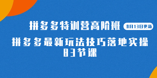 （7295期）2023拼多多平台·夏令营高级班【9月13日升级】拼多多最新技巧攻略落地式实际操作-83节