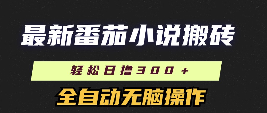 （11904期）最新番茄小说搬砖，日撸300＋！全自动操作，可矩阵放大