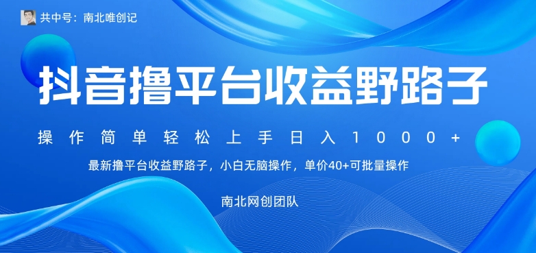 最新撸抖音平台收益野路子，操作简单，单价高，小白可无脑操作可日入1000+