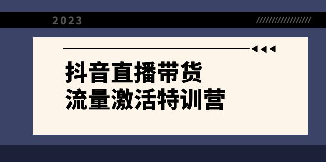 抖音直播带货-流量激活特训营，入行新手小白主播必学（21节课+资料）-暖阳网-优质付费教程和创业项目大全