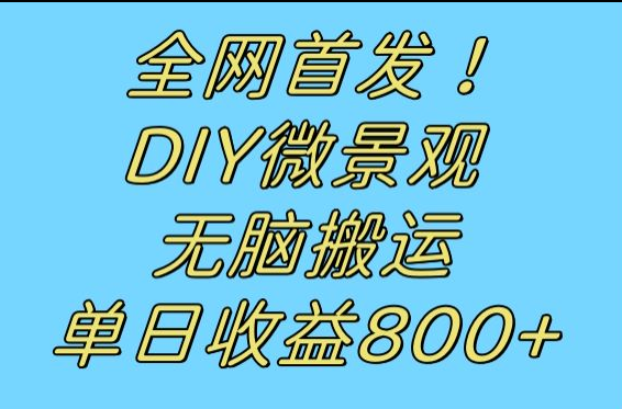 独家首发小众跑道！DIY微景观，没脑子搬运视频，日盈利800