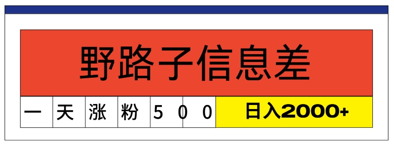 全新《1000个野路子信息差》新模式，字幕视频，单独著作暴粉5000 ，新手快速上手