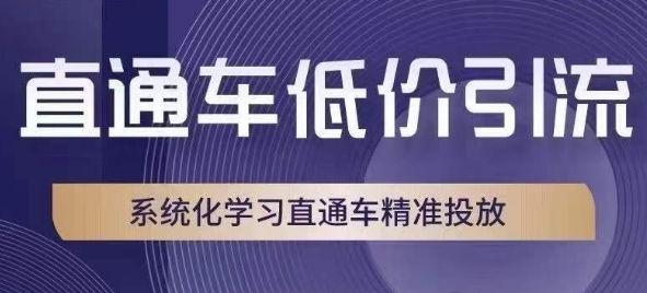 淘宝直通车低价引流课，系统性学习淘宝直通车精准推送