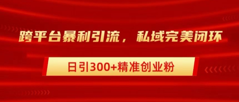 跨平台暴力引流，私域完美闭环，日引100+精准创业粉