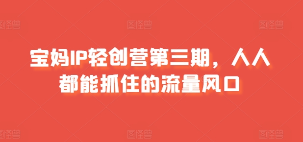 宝妈妈IP轻创营第三期，人人都可以抓住的总流量出风口