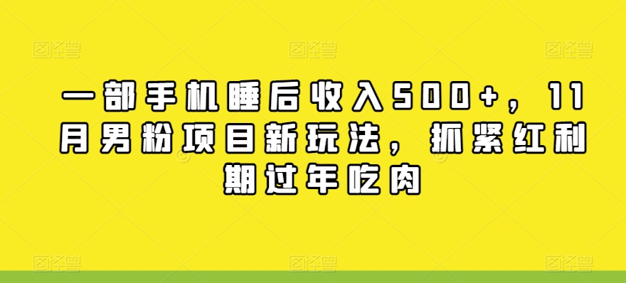 一部手机睡后收入500+，11月男粉项目新玩法，抓紧红利期过年吃肉